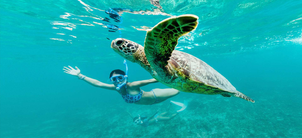 Go snorkeling at Gili Meno and swim with sea turtles